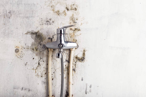 Certified Mold Removal in Reliez Valley, CA