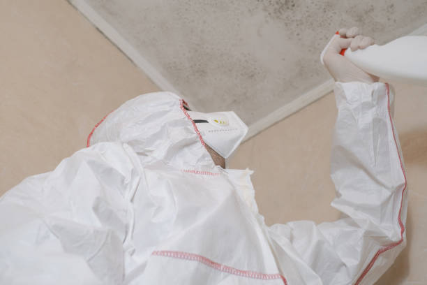 Office Mold Removal Services in Reliez Valley, CA