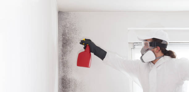 Best Emergency Mold Removal  in Reliez Valley, CA